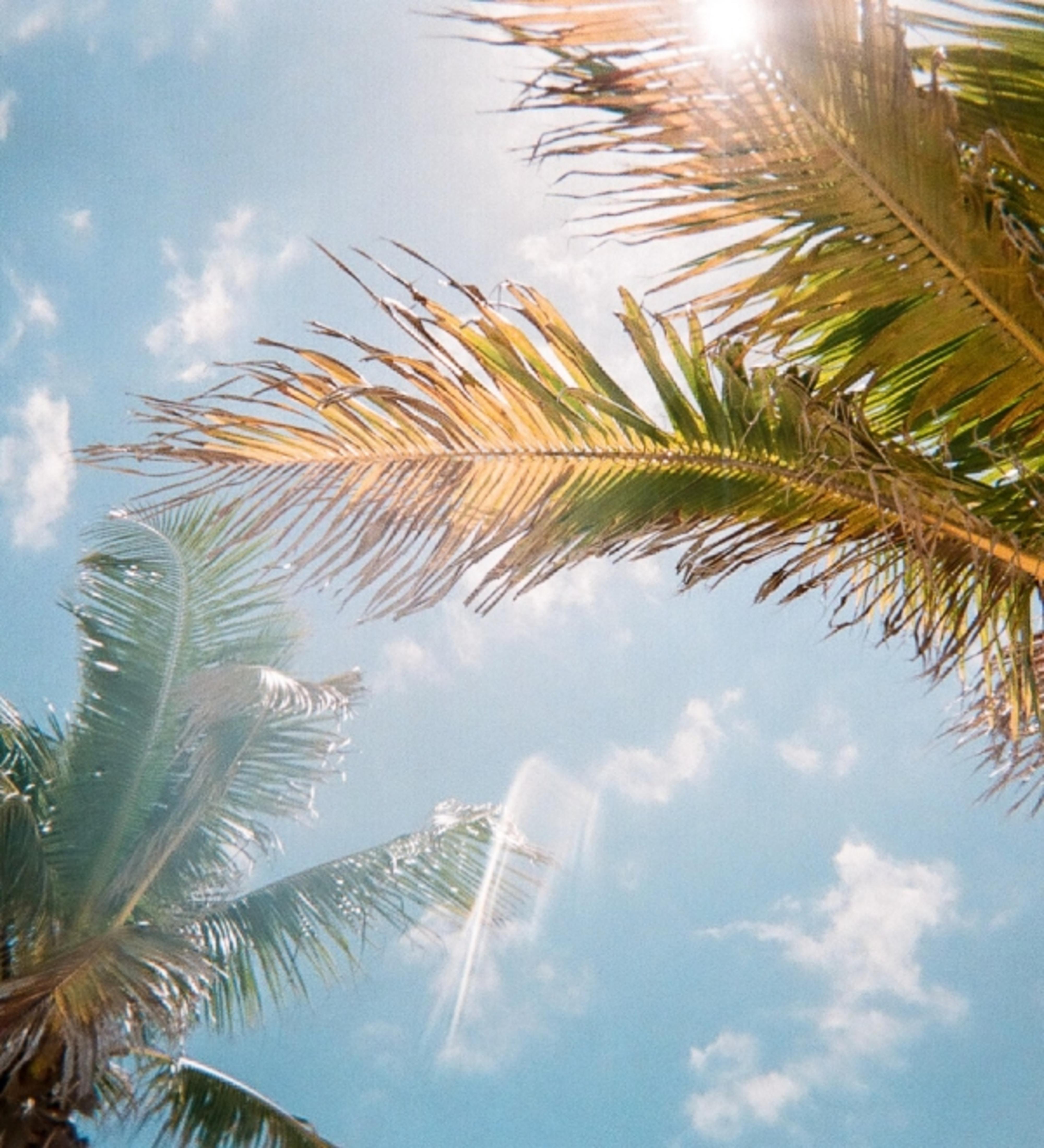 Ridley House - Key West Historic Inns (Adults Only) Екстериор снимка